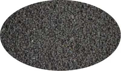 Image de Eder Gewürze - Baies de gaulthérie - 1 kg