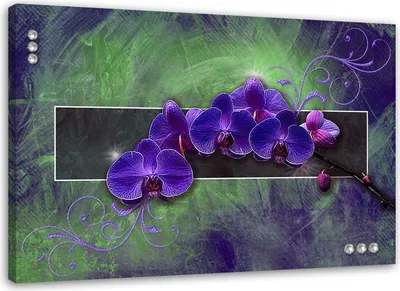 Produktbild von Leinwandbild orchidee zen spa 3d lila 120x80 cm Feeby lila wandbild bereit zum aufhängen
