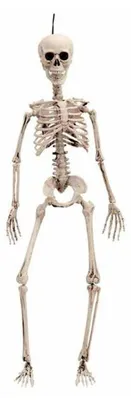 Immagine prodotto di Decorazione di Halloween My Other Me Scheletro da 120 cm
