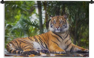 Produktbild von MuchoWow® Wandteppich Wandbehang Tiger - Tiere - Wald - Dschungel 60x40 cm Tapisserie Dekoration Wandtuch - Wanddekorationen