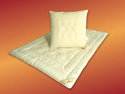 Produktbild von Garanta Merino-KBT-Kissen mit KBT-Schurwollkugel Füllung Schurrwollkugeln Größe 80x80 Bezug: 100% Baumwolle / Füllung: 100% Wolle