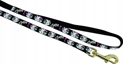 Produktbild von Zolux LADYCAT Nylonleine für Katzen 1m schwarz