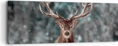 Produktbild von Bild auf Leinwand - Leinwandbild - Einteilig - Hirsch Hirsch Winter - 90x30cm - Wand Bild - Wanddeko - Wandbilder - Leinwanddruck - Bilder - Wanddekoration - Leinwand bilder - Wandbild - AB90x30-4998