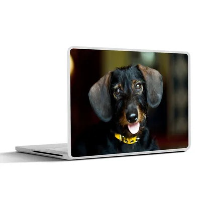 Obrázek produktu pro Nálepka na notebook - 13,3 palce - Roztomilý černý jezevčík