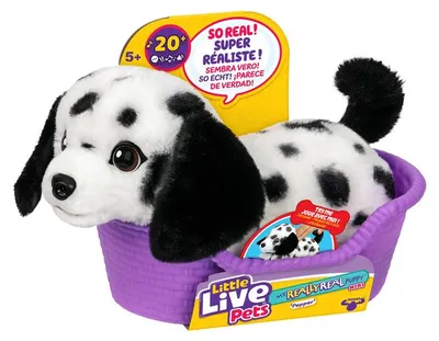 Obrázek produktu pro Moose Toys Little Live Pets My Really Real Puppy Mini's - Pepper, Pejskek, 5 rok/roky, Interaktivní, Zvuky, AAA