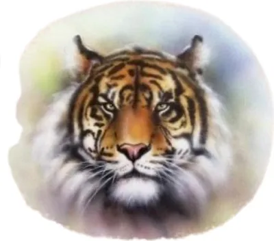 Produktbild von Tigerkopf wild und  zum Aufbügeln