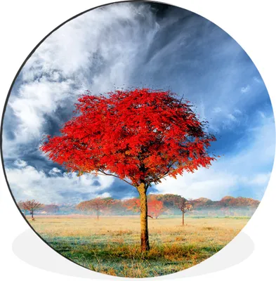 Produktbild von MuchoWow® - Mauerkreis - Wandbilder - Runde Bild - Bild aus Aluminium - Schlafzimmer - Wohnzimmerdekoration - Wand Dekoration