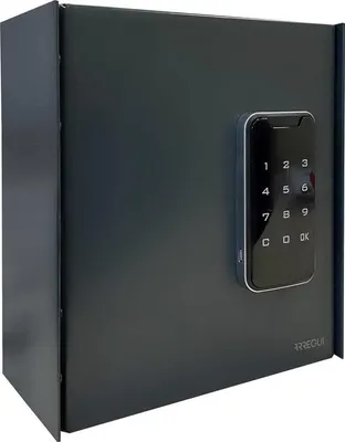 Obrázek produktu pro velká skříňka na klíče s elektronickým zámkem a 14 háčky na klíče, trezor na klíče s číselným kódem, snadná instalace, skříňka na klíče s kombinačním zámkem, 22 x 20 x 10 cm, antracit - trezor na klíče