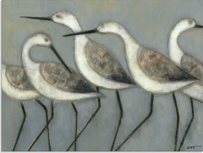 Produktbild von ARTland Glasbild Küstenvögel I Größe: 60x45 cm