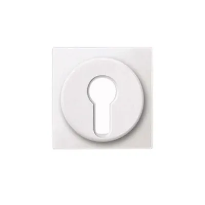 Produktbild von Merten Zentralplatte pws 318119