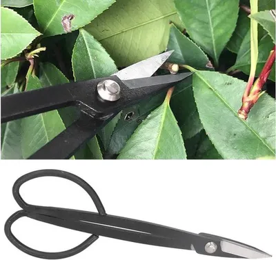 Gartenschneider für Pflanzen und Bonsai, rostfreies Gartenwerkzeug für Blumen und Äste