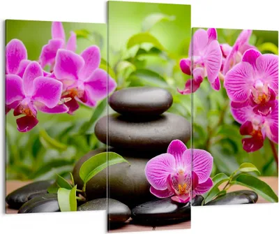 Produktbild von Bild auf Leinwand - Leinwandbild - Blumen Steine Bambus Dekoration - 130x100cm - Wand Bild - Wanddeko - Leinwanddruck - Bilder - Kunstdruck - Leinwand bilder - Wandkunst - CB130x100-2687