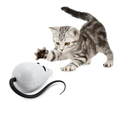 Produktbild von Nayeco Frolicat Rolorat Katzenspielzeug Silber  Silber One Size