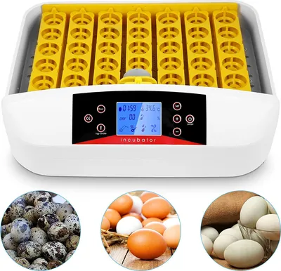 Image de Incubateur automatique de 41 œufs avec retourneur d'œufs automatique et régulateur intelligent de température et d'humidité pour l'éclosion des poules Canards Anatidés