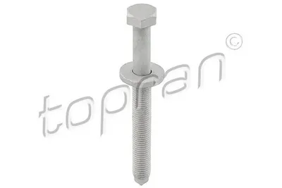 Obrázek produktu pro Šroub TOPRAN 116 952