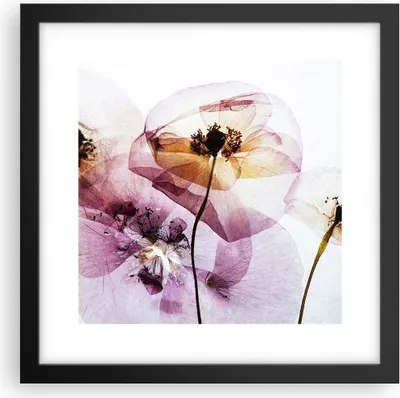 Produktbild von Gerahmtes Poster - Schwarzer Rahmen - blume sommer natur - 30x30 cm - Wand Bild - Wanddeko - Wandbilder - Kunstposter - Wandposter - Bilderrahmen - Bilder - Kunstdruck - Wandbild - P2BAC30x30-3821
