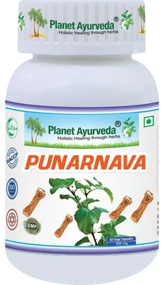 Obrázok produktu pre Punarnava - zdravie obličiek, pečene - 500mg 60 kapsúl