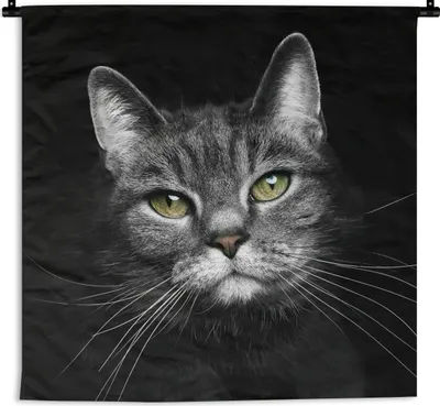 Produktbild von MuchoWow® Wandteppich Wandbehang Haustiere - Katze - Tiere - Schwarz - Weiß 60x60 cm Tapisserie Dekoration Wandtuch - Dekorationen - Wand Decke