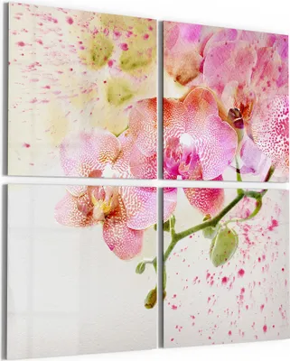 Produktbild von DEQORI Glasbild Echtglas 4x50x50 cm 'Orchideenflüstern' Wandbilder XXL groß