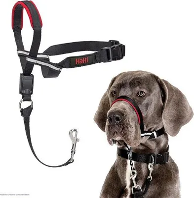 Produktbild von Unyqoos® Anti-Zug-Kopfgeschirr, groß – verstellbarer Headcollar mit gepolstertem Nasenriemen, leichtes reißfestes Gewebe, reflektierende Wangenriemen & Karabiner