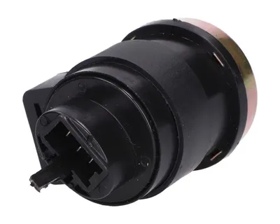 Immagine prodotto di Relè Lampeggiante Elek 150W
