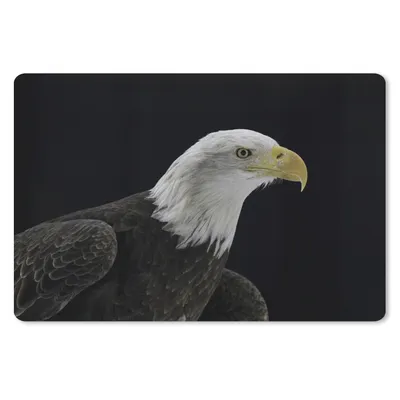 Produktbild von MuchoWow® Schreibtischunterlage Adler - Vogel - Schnabel - Schwarz 60x40 cm - XXL Mauspad - Großes Mauspad