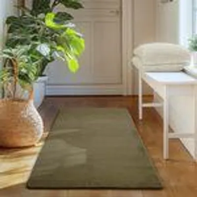 A rug in a hallway with plants and a bench.
