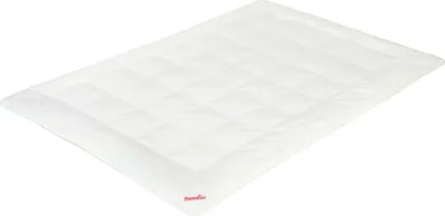 Produktbild von Paradies Ganzjahres Allergiker Bettdecke 155x220 cm Antiallergo allergikerfreundlich ECARF