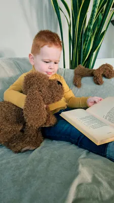 Produktbild von Happy Horse Kuscheltier Hund Labradoodle Larry 38cm - braun - Plüschspielzeug