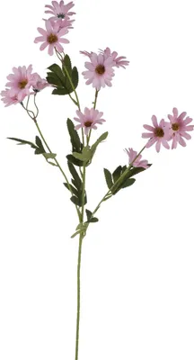 Produktbild von artplants.de Kunstblumen Zweig Margerite FENAS, rosa-weiß, 65cm - Deko Kunstzweig