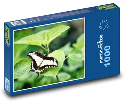 Obrázok produktu pre Puzzle 1000 Vidlochvost na zelenom liste - martinpuzzle