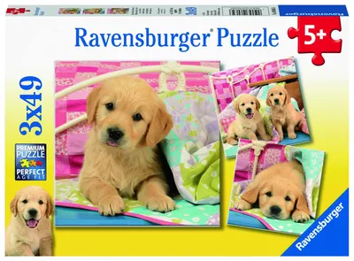 Produktbild von Kuschelige Hündchen Ravensburger 08065
