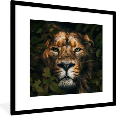 Produktbild von MuchoWow® MuchoWow® Gerahmtes Poster Pflanzen - Löwe - Dschungel 40x40 cm - Poster mit zchwarzem Bilderrahmen - Poster - Plakat im Rahmen