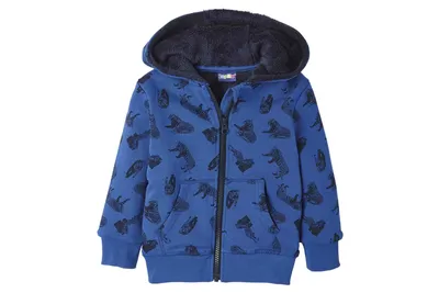 Produktbild von Lupilu Jungen Sweatjacke - Kapuzenjacke Teddyfleece Blau 86/92
