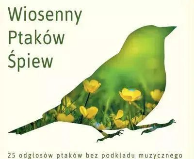 Zdjęcie produktu dla 25 ptasich głosów bez podkładu muzycznego, CD