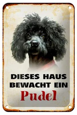 Produktbild von Blechschild Hund 12x18cm dieses Haus bewacht ein Pudel