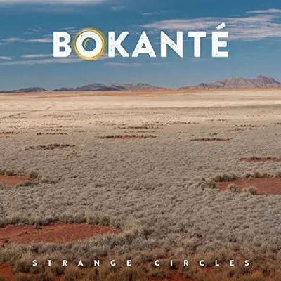 Produktbild von Strange Circles