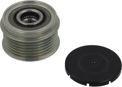 Produktbild von BV PSH 051.000.124.206 Riemenscheibe Lichtmaschine