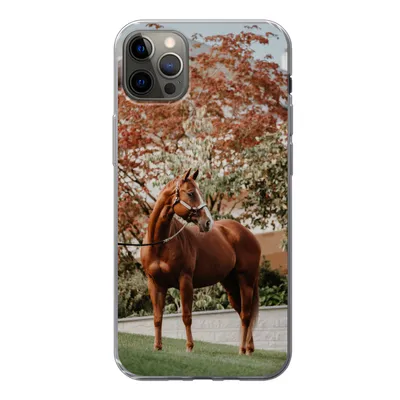 Produktbild von MuchoWow® Handyhülle Schutzhülle Hülle für iPhone 13 Pro Max Pferd - Baum - Halfter Silikon Softcase Handy Hülle - Mobiltelefon