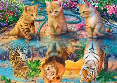 Image de Mosaïque diamant Norimpex - Comment les chats se voient 1004873