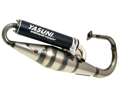 Produktbild von Auspuffanlage YASUNI Scooter Z schwarz Peugeot stehend Speedfight Squab TKR Buxy