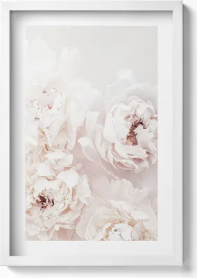 Produktbild von Beuatifull Pfingstrosen– Wandbild mit Rahmen – Gerahmtes Bild  – Wanddekoration – 40x60 cm – Weiß