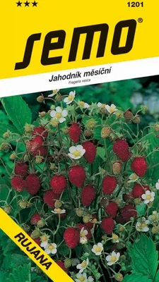 Obrázek produktu pro Jahodník měsíční - Rujána 0,2g