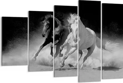 Produktbild von Bild auf Leinwand - Leinwandbild - 5 Teile - Andalusier Pferde Galopp - 150x100cm - Wand Bild - Wanddeko - Wandbilder - Leinwanddruck - Bilder - Wanddekoration - Leinwand bilder - EG150x100-4240