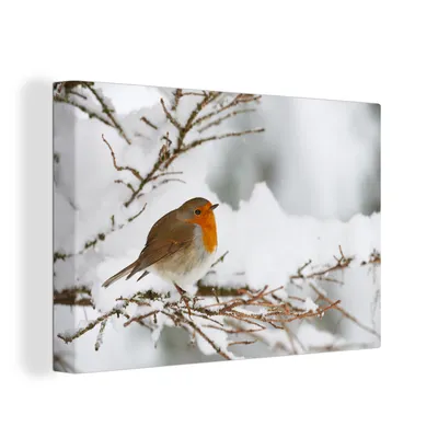 Obrázek produktu pro OneMillionCanvasses® Malba na plátně Nástěnná malba na plátně - Robin - Sníh - Větve - 150x100cm