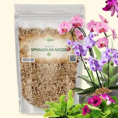 Produktbild von OraGarden Premium Sphagnum-Moos 3 Liter