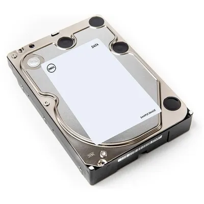 Immagine prodotto di DELL W69TH 3,5" 1 TB Serial ATA III