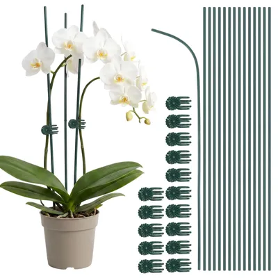 Productafbeelding van Orchideeënsteun orchideeënclips - Set van 30 - Buigbaar - 30 cm - Groen