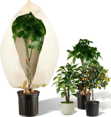 Obrázek produktu pro Zimní ochrana rostlin, ochrana proti mrazu, rozměry 120 × 180 cm, 100 g/m², netkaná textilie, kryt se zipem a stahovací šňůrkou, barva béžová