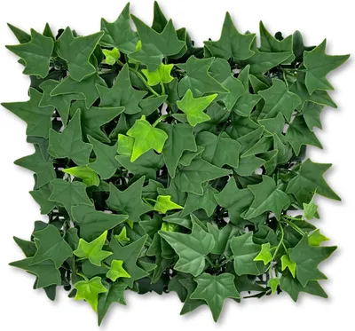 Produktbild von BioPlant Background Ivy Künstliche Efeumatte Modularer Hintergrund für Terrarien 25x25cm